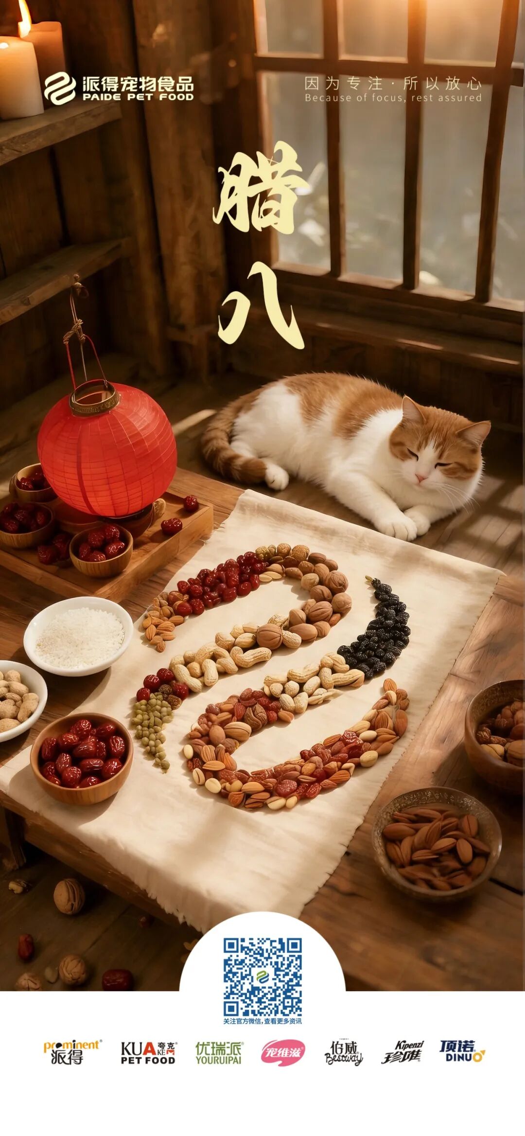 派得宠物