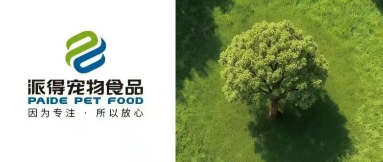 植树节丨种下希望 收获美好