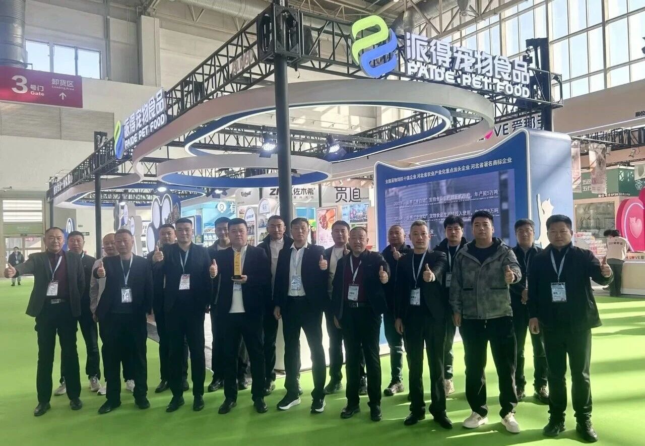 pg游戏app下载入口