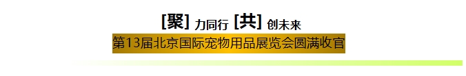 pg游戏app下载入口