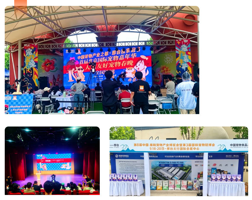 pg游戏app下载入口
