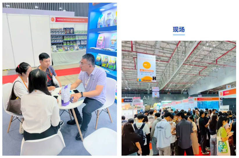 pg游戏app下载入口