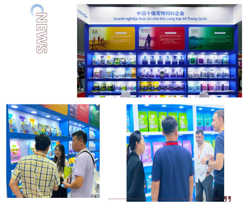 pg游戏app下载入口