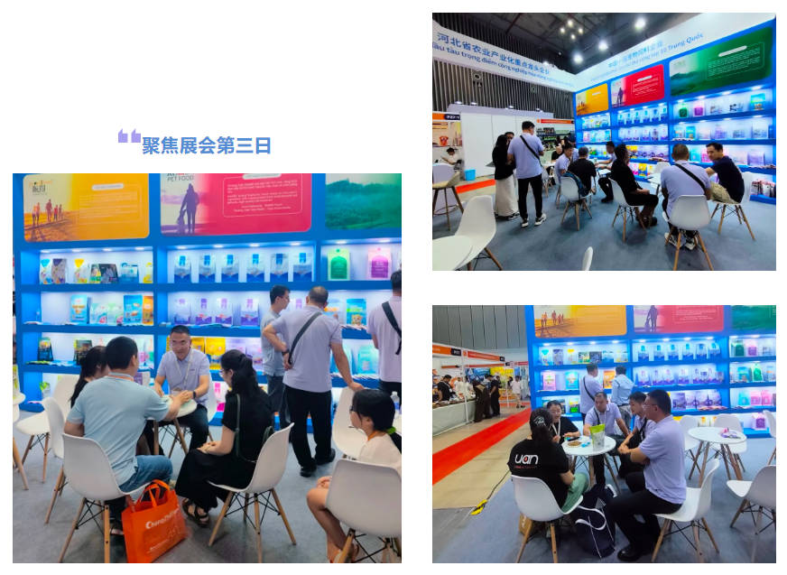 pg游戏app下载入口