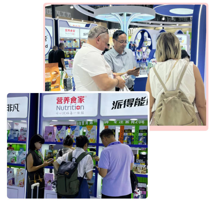 pg游戏app下载入口