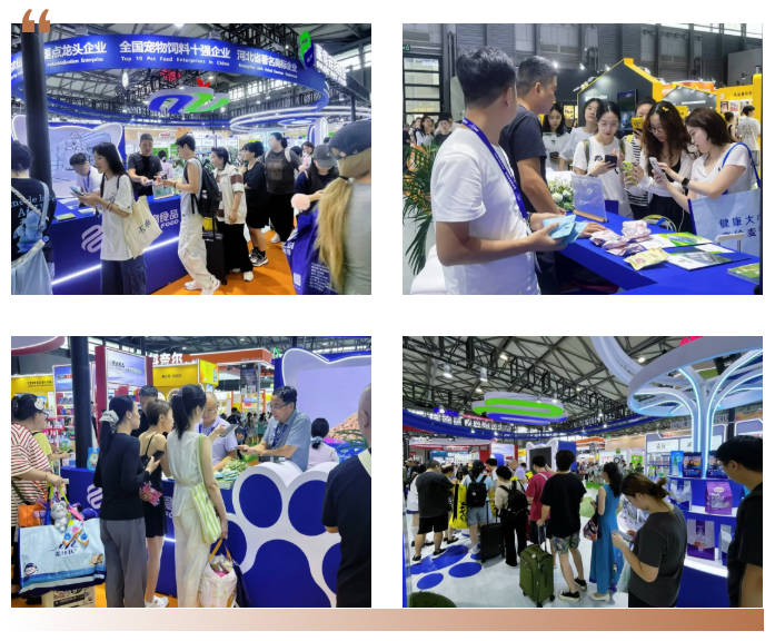 pg游戏app下载入口