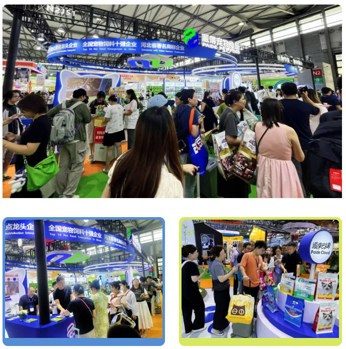 pg游戏app下载入口