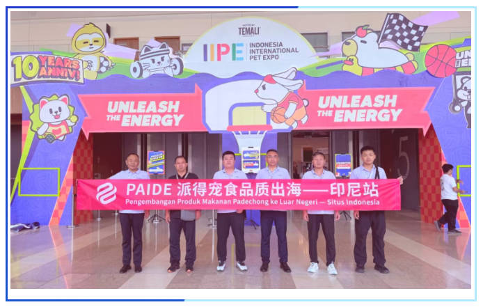 pg游戏app下载入口