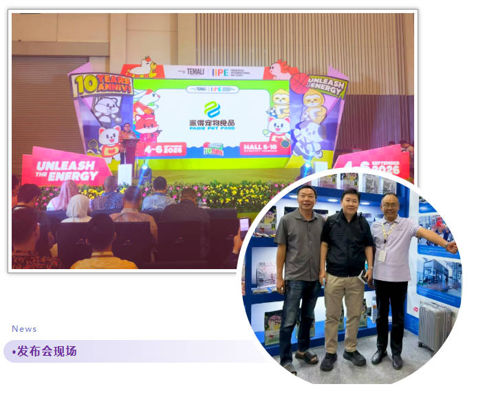 pg游戏app下载入口
