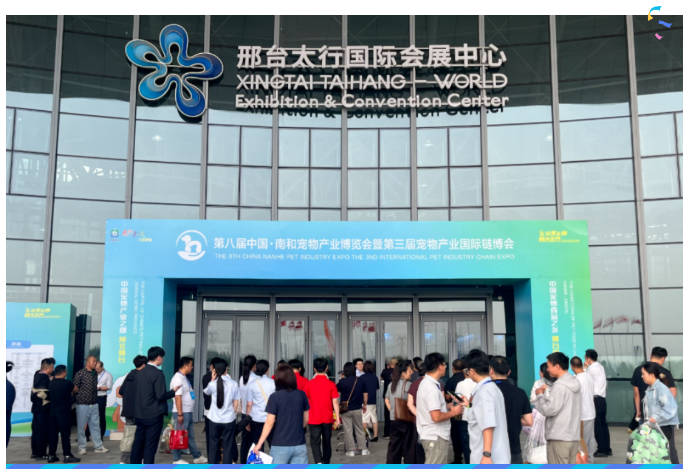 pg游戏app下载入口