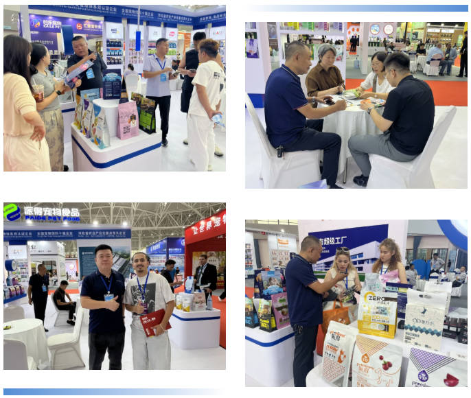 pg游戏app下载入口